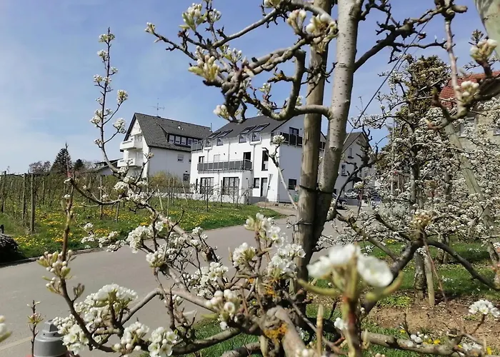 Haus Agatha דירה