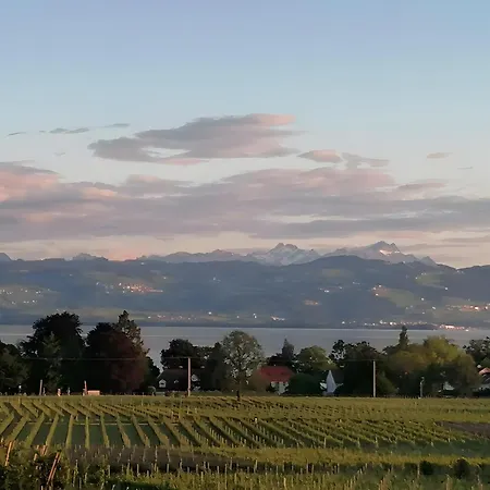 Haus Agatha Apartment Wasserburg am Bodensee